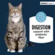 Product Auhtority Digestive Support Adult Cat Food - Pate, Whitefish and Salmon, 3 OZ