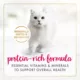 Product Fancy Feast Wet Cat Food - Chicken Feast, Classic Pate, 12 CT, 36 OZ