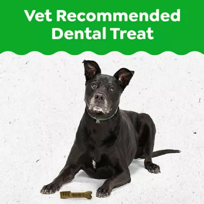 Product Greenies Aging Care Dog Dental Treats