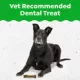 Product Greenies Aging Care Dog Dental Treats