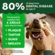 Product Greenies Aging Care Dog Dental Treats