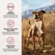 Product Only Natural Pet Max Blends Dehydrated Food - Grain Free Beef Recipe