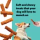 Product Wiggles & Wags Chicken Meaty Sticks Dog Treats 16 OZ
