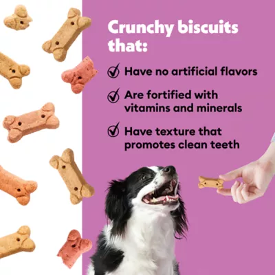 Product Wiggles & Wags Biscuits Assorted Flavors Dog Treats 15 OZ
