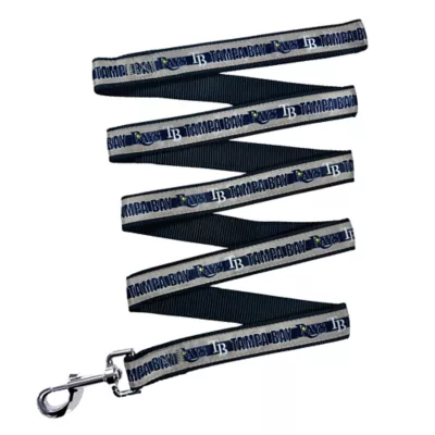 Product Pets First MLB Tampa Bay Rays Satin Dog Leash