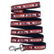Product Pets First NCAA Ole Miss Satin Dog Leash