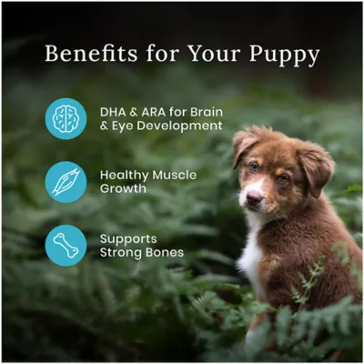 Product Blue Buffalo Wilderness Rocky Mountain Recipe Puppy Dry Dog Food - Red Meat