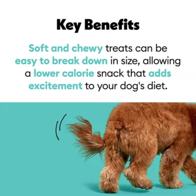 Product Wiggles & Wags Peanut Butter Chewy Bones Dog Treats 6 OZ