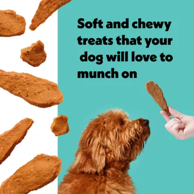 Product Wiggles & Wags Salmon Meaty Strips Dog Treats 16 OZ