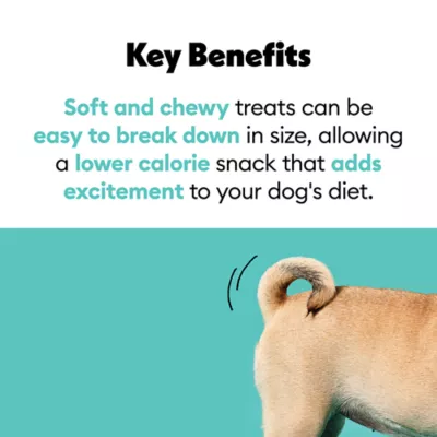 Product Wiggles & Wags Salmon Meaty Strips Dog Treats 16 OZ