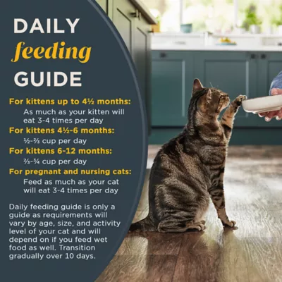 Product Reveal Kitten Food - Grain Free, Limited Ingredient, 2.5 Lbs