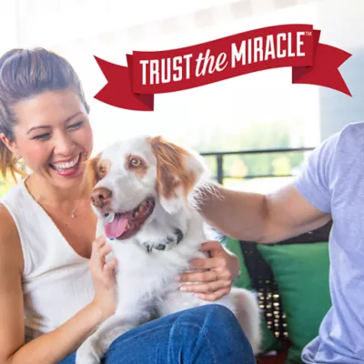 Product Natures's Miracle Advanced Stain & Odor Eliminator for Dogs