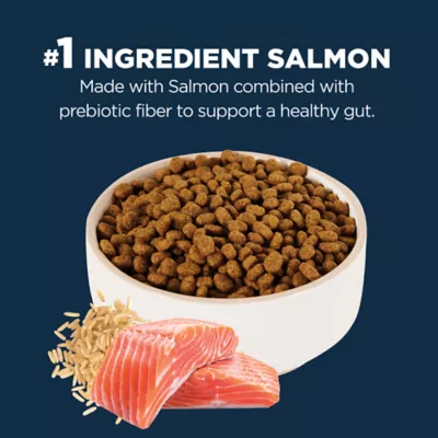 Product Authority Digestive Support Adult Cat Food - Gut Health, Salmon & Rice Formula