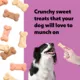Product Wiggles & Wags Strawberry, Vanilla & Carob Neopolitan Cookies Dog Treats 14 OZ