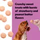 Product Wiggles & Wags Sunburst Peanut Butter and Strawberry Cookies Dog Treats 14 OZ