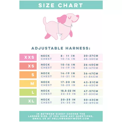 Product Sassy Woof Harley Quinn Dog Harness