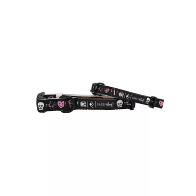 Product Sassy Woof Harley Quinn Dog Collar