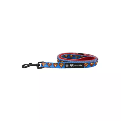 Product Sassy Woof Superman Dog Leash: 5-ft long