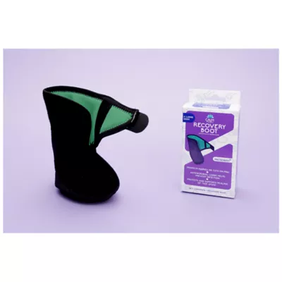 Product Calm Paws Recovery Boot