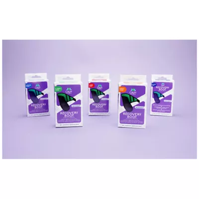 Product Calm Paws Recovery Boot