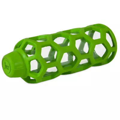 Product JW Pet Hol-ee Water Bottle Dog Toy