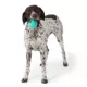 Product Joyhound® Large Ball Dog Toy