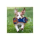 Product Pets First NBA NY Knicks Dental Ring Dog Toy