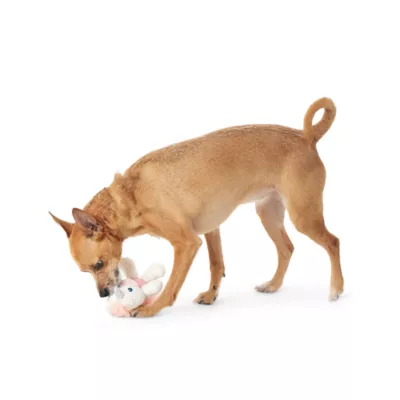 Product Joyhound® Belly Plush Unicorn Squeaky Dog Toy