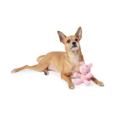 Product Joyhound® Belly Plush Pig Squeaky Dog Toy