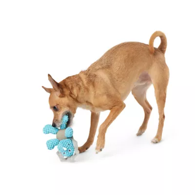 Product Joyhound® Belly Plush Triceratops Squeaky Dog Toy