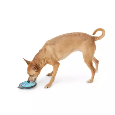 Product Joyhound® Rip Roarin' Tough Puffer Fish Dog Toy