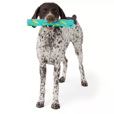 Product Joyhound® Crunch Stick Dog Toy