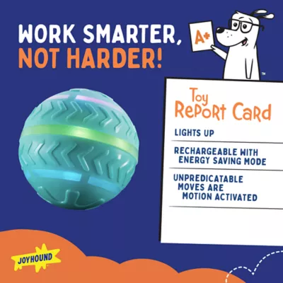 Product Joyhound® Electronic Spinning Ball Dog Toy