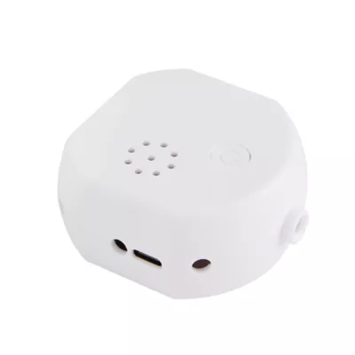 Product Joyhound® Electronic Spinning Ball Dog Toy