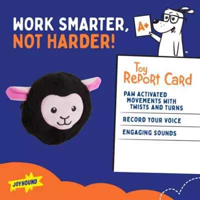 Product Joyhound® Electronic Sheep Dog Toy
