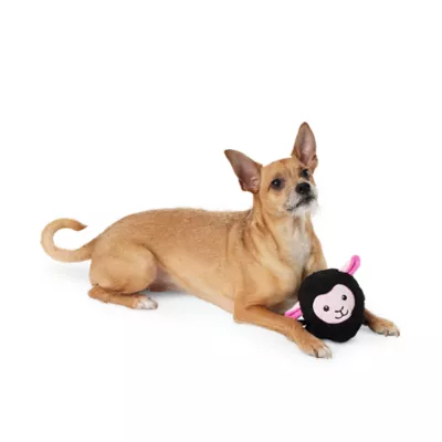 Product Joyhound® Electronic Sheep Dog Toy