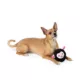 Product Joyhound® Electronic Sheep Dog Toy