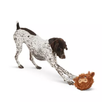 Product Joyhound® Electronic Highland Cow Dog Toy