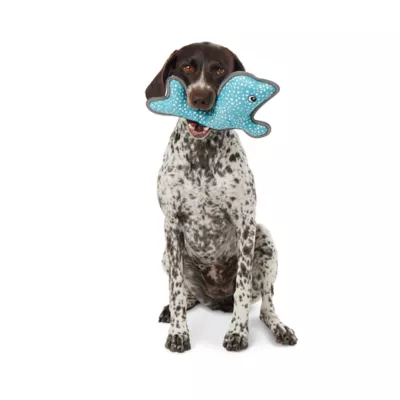 Product Joyhound® Rip Roarin' Tough Whale Dog Toy