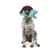 Product Joyhound® Rip Roarin' Tough Whale Dog Toy