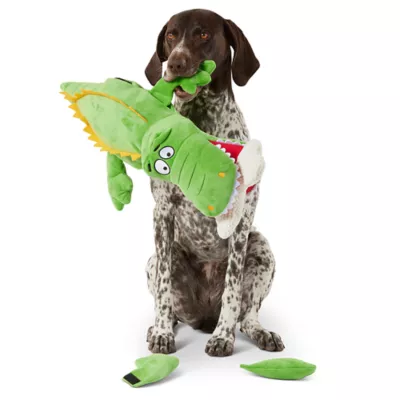 Product Joyhound® Tear Apart Alligator Dog Toy