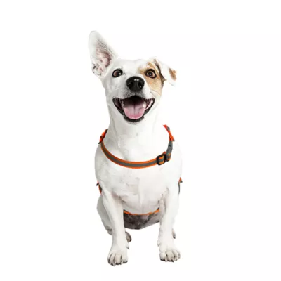 Product KONG® Ultra-Lite Dog Safety Vest