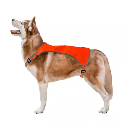 Product KONG® Ultra-Lite Dog Safety Vest
