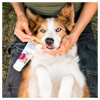 Product Animora Cranberry Dental Gel - Cranberry flavor