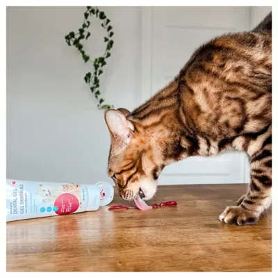 Product Animora Cranberry Dental Gel - Cranberry flavor