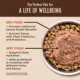 Product Wellness Core+ Audlt Cat Food - Grain Free, Hairball, Chicken & Chicken Meal
