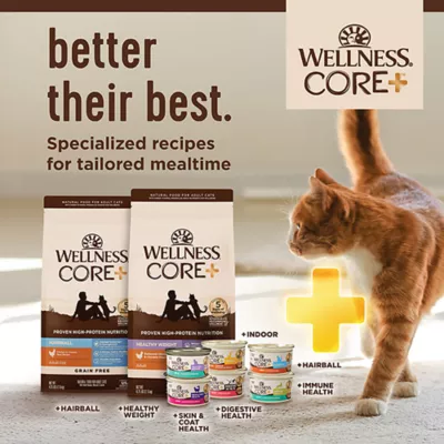 Product Wellness Core+ Audlt Cat Food - Grain Free, Hairball, Chicken & Chicken Meal