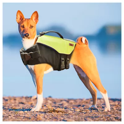Product KONG® AquaPro Pet Flotation