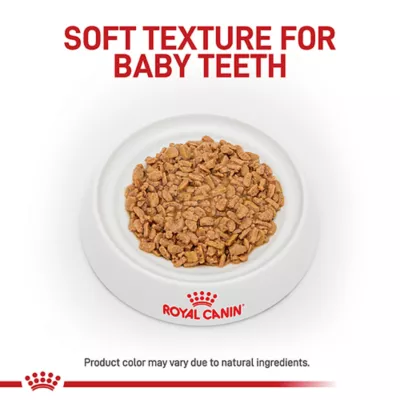 Product Royal Canin Small Breed Thin Slices in Gravy Puppy Dog Wet Food - 5.1 oz