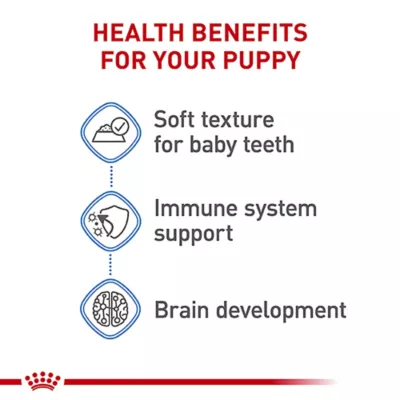 Product Royal Canin Small Breed Thin Slices in Gravy Puppy Dog Wet Food - 5.1 oz